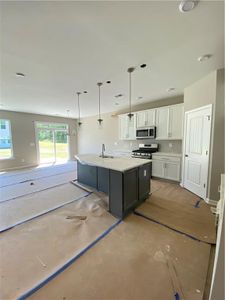 New construction Single-Family house 205 Balsam Drive, Dallas, GA 30157 Amelia- photo 3 3