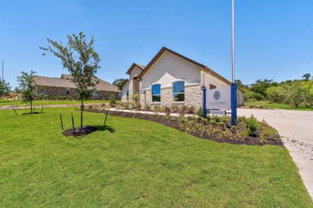 New construction Single-Family house The McLean, Avila Way, Pflugerville, TX 78660 - photo