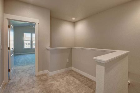 New construction Townhouse house 6248 Vernazza Way, Windsor, CO 80550 - photo 166 166