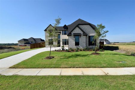 New construction Single-Family house 3980 Harkness Drive, Prosper, TX 75078 - photo 1 1