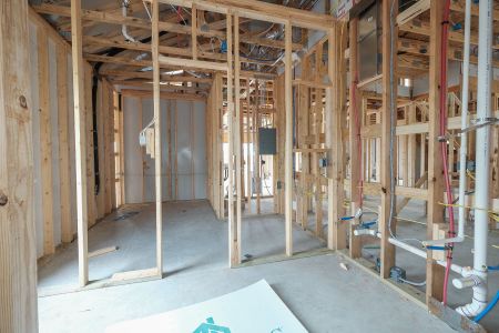 New construction Single-Family house 125 Calgary Drive, Floresville, TX 78114 Livingston- photo 19 19