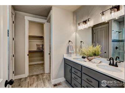 New construction Townhouse house 6230 Vernazza Way, Unit 1, Windsor, CO 80550 - photo 10 10