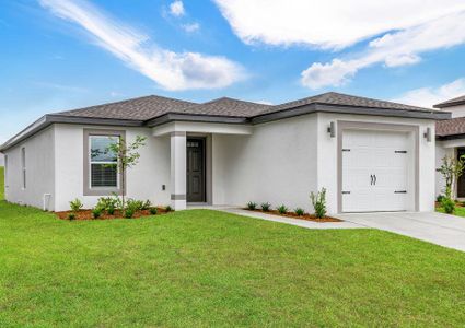 New construction Single-Family house 29284 Fedora Circle, Brooksville, FL 34602 - photo 1 1