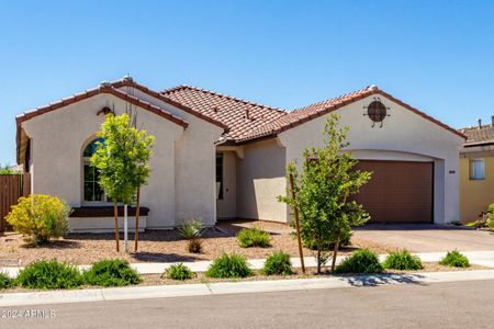 New construction Single-Family house 22989 E Via Del Sol, Queen Creek, AZ 85142 - photo 18 18