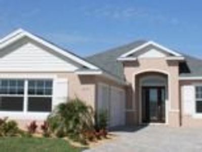 New construction Single-Family house 118 Portofino Boulevard, New Smyrna Beach, FL 32168 - photo 9 9