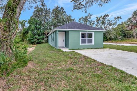 New construction Single-Family house 219 Dr J A Wiltshire Avenue W, Lake Wales, FL 33853 - photo 30 30