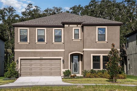 New construction Single-Family house 14667 Horse Trot Road, Lithia, FL 33547 - photo 0