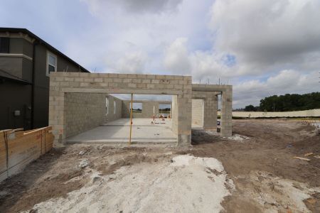 New construction Single-Family house 2881 Misty Marble Drive, Zephyrhills, FL 33540 Castellana- photo 12 12