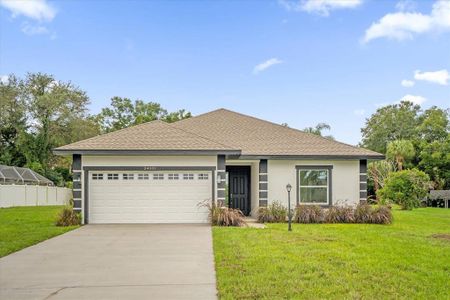 New construction Single-Family house 34001 Valencia Drive, Leesburg, FL 34788 - photo 0