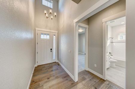 New construction Multi-Family house 8412 Cromwell Circle, Windsor, CO 80528 - photo 81 81