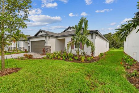 New construction Single-Family house 5304 Patano Loop, Palmetto, FL 34221 Palisades - Single Family Smart Series- photo 0