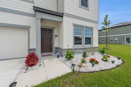 New construction Single-Family house 35877 Buttonweed Trl, Zephyrhills, FL 33541 - photo