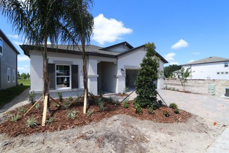 New construction Single-Family house 10709 New Morning Drive, Tampa, FL 33647 Madeira II- photo 16 16