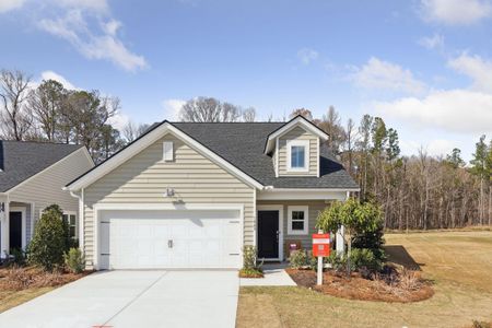 New construction Single-Family house 1059 Grace Field Avenue, Summerville, SC 29485 Drake- photo 0