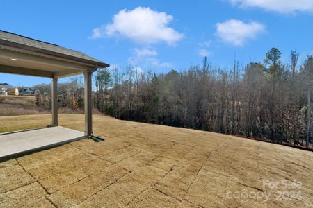 New construction Single-Family house 2311 Excalibur Drive, Indian Land, SC 29707 - photo 12 12