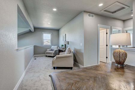 New construction Townhouse house 6248 Vernazza Way, Windsor, CO 80550 - photo 90 90