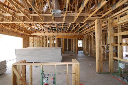 New construction Single-Family house 10609 New Morning Drive, Tampa, FL 33647 Corina  III Bonus- photo 23 23