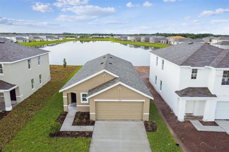 New construction Single-Family house 5552 Logan Cave Avenue, Wimauma, FL 33598 - photo 3 3