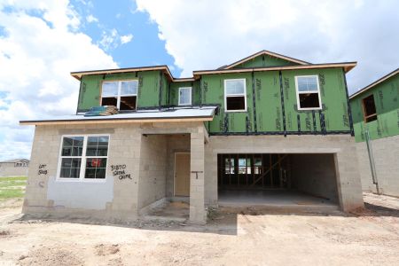 New construction Single-Family house 31870 Sapna Chime Drive, Wesley Chapel, FL 33545 Casanova- photo 33 33