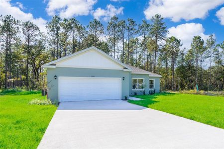 New construction Single-Family house 6920 Sw 132Nd Place, Ocala, FL 34473 - photo 1 1