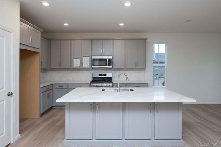 New construction Single-Family house 1837 Water Birch Way, Castle Rock, CO 80108 - photo 4 4
