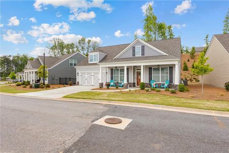 New construction Single-Family house 269 Homestead Crossing, Hiram, GA 30141 - photo 3 3