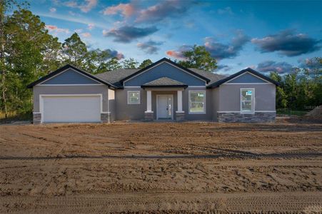 New construction Single-Family house 13185 Quigley Avenue, Weeki Wachee, FL 34614 - photo 31 31