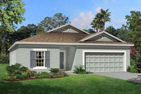 New construction Single-Family house 10805 Rolling Moss Road, Tampa, FL 33647 - photo 2 2