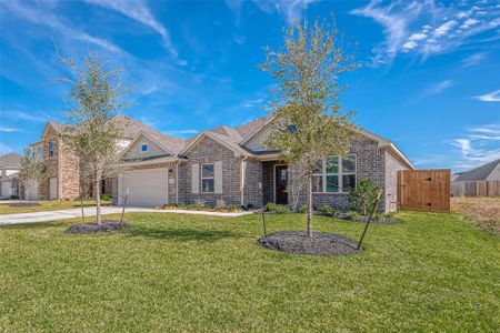 New construction Single-Family house 10630 Amador Peak Drive, Rosharon, TX 77583 - photo 3 3