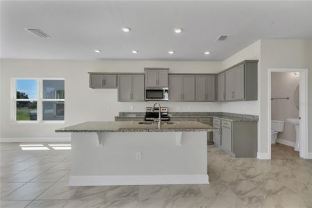 New construction Single-Family house 15893 Northwest 123rd Avenue, Alachua, FL 32615 - photo 47 47