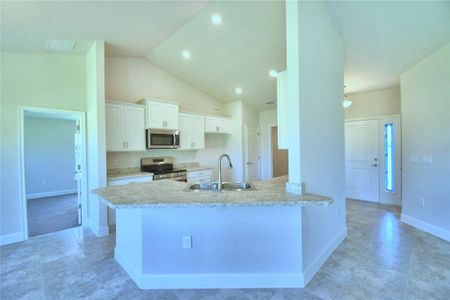 New construction Single-Family house 4085 Tullamore Lane, Auburndale, FL 33823 1755- photo 4 4