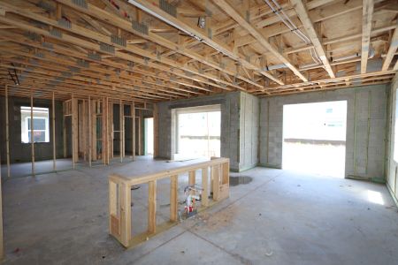 New construction Single-Family house 31801 Sapna Chime Drive, Wesley Chapel, FL 33545 Alenza- photo 11 11