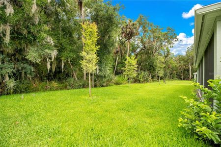 New construction Single-Family house 3033 Adrian Drive, Ormond Beach, FL 32174 - photo 29 29