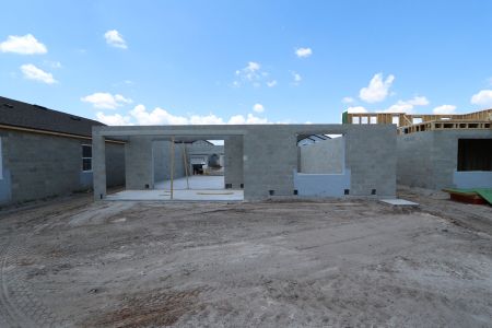 New construction Single-Family house 31840 Sapna Chime Drive, Wesley Chapel, FL 33545 Casanova- photo 10 10
