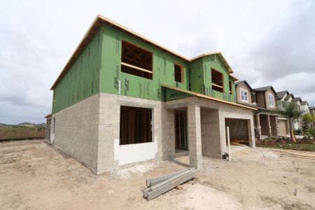 New construction Single-Family house 2522 Sunny Pebble Loop, Zephyrhills, FL 33540 Mira Lago- photo 20 20