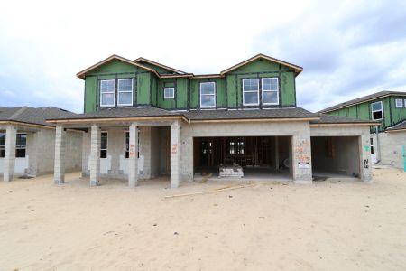 New construction Single-Family house 2486 Clary Sage Drive, Spring Hill, FL 34609 Santa Monica- photo 81 81