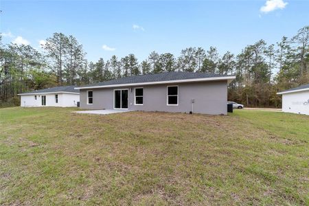 New construction Single-Family house 2339 Sw 142Nd Court Road, Ocala, FL 34481 - photo 26 26