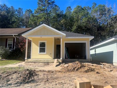 New construction Single-Family house 10544 Palmetto Boulevard, Alachua, FL 32615 - photo 0