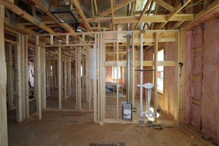 New construction Single-Family house 9358 Crescent Ray Drive, Wesley Chapel, FL 33545 Renau- photo 28 28