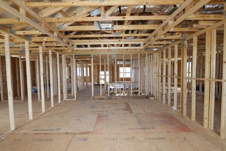 New construction Single-Family house 31810 Sapna Chime Drive, Wesley Chapel, FL 33545 Mira Lago- photo 6 6