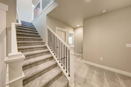 New construction Multi-Family house 8412 Cromwell Circle, Windsor, CO 80528 - photo 83 83