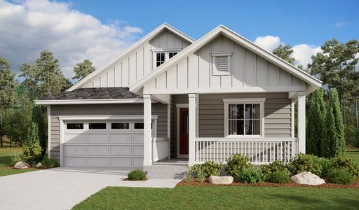 New construction Single-Family house 1805 Papuan Ct, Brighton, CO 80601 - photo 0 0