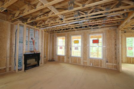 New construction Single-Family house 3113 Armeria Drive, Apex, NC 27502 Brittain - Signature Collection- photo 27 27