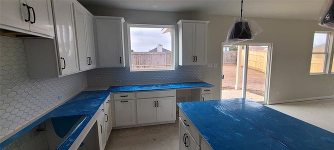 New construction Single-Family house 505 Palo Brea Loop, Hutto, TX 78634 Wyatt Homeplan- photo 2 2