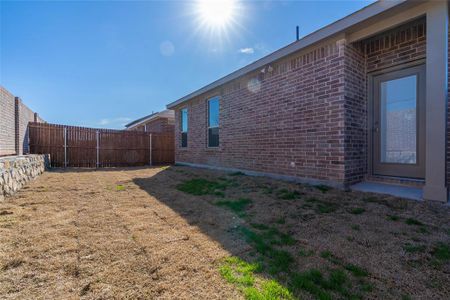 New construction Single-Family house 1905 Wine Cup Drive, Melissa, TX 75454 - photo 24 24
