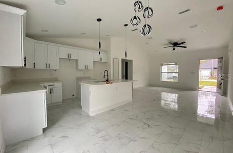 New construction Single-Family house 1600 Brown Avenue, Orange City, FL 32763 - photo