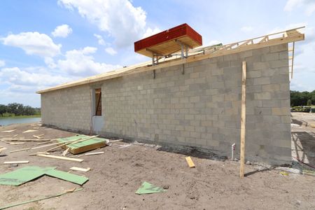 New construction Single-Family house 9465 Crescent Ray Drive, Wesley Chapel, FL 33545 Barcello- photo 8 8