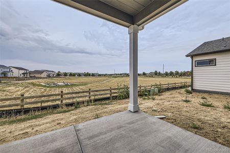 New construction Single-Family house 4917 Thistle Drive, Brighton, CO 80601 Mosaic 6- photo 19 19