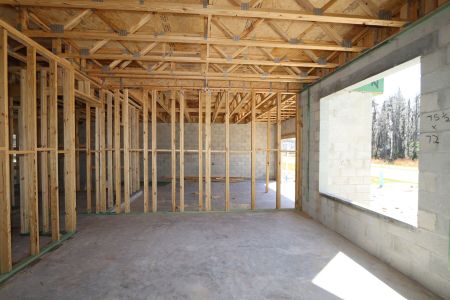New construction Single-Family house 10614 New Morning Drive, Tampa, FL 33647 Grandsail  III- photo 24 24