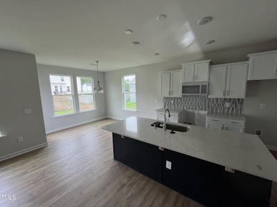 New construction Single-Family house 64 Brooklyn Trail Court, Unit 201, Angier, NC 27501 The Concerto- photo 7 7